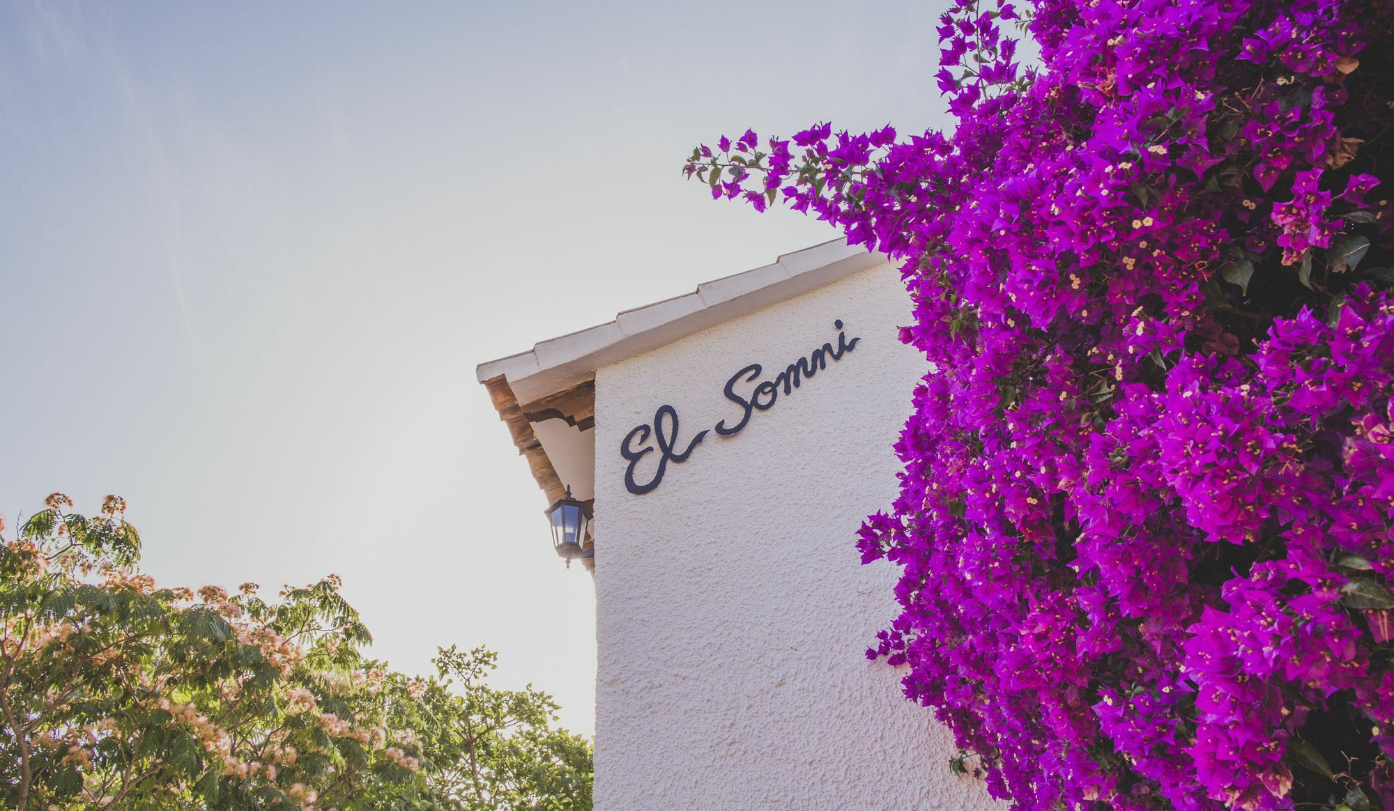 Somni - Deniasol Denia